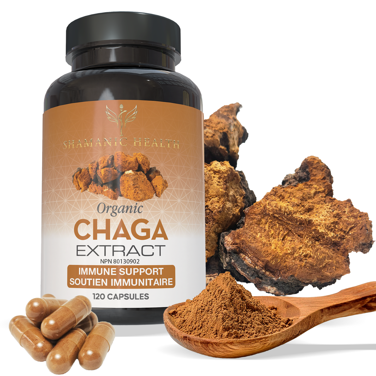 Extrait de Chaga 120 gélules